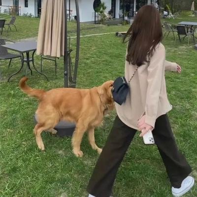 孤独的士兵